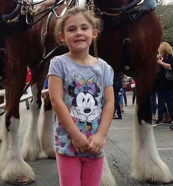 Dad Snaps A Photo Of His Daughter In Front Of Giant Horse, Looks Closer And Can’t Stop Laughing