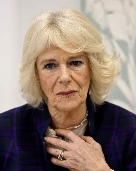 QUEEN CAMILLA’S EX-HUSBAND SECRETLY FINDS LOVE WITH TV HOST AT 84 – AND YOU MIGHT RECOGNIZE HER